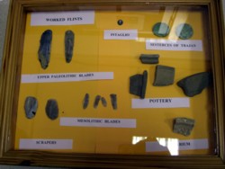 Some of the finds on display